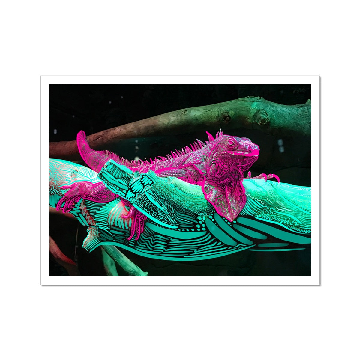 A digital collage: a photo of an Iguana laying on a branch, doodles are rendered on the Iguana and the branch. The iguana is pink and the branch is seafoam green. The print has a white border.