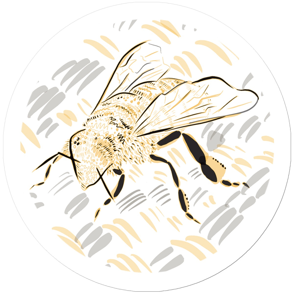 A round sticker. The print: a digital line drawing of a bee. The background is white, the bee is rendered in black/yellow, and the rug in grey/yellow. The border is white.