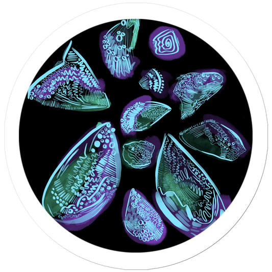 A round sticker with a thick white border. An abstract drawing of sea shells all over. The background is black and the design is sea shells rendered with dark green/purple wash and light blue line markings.