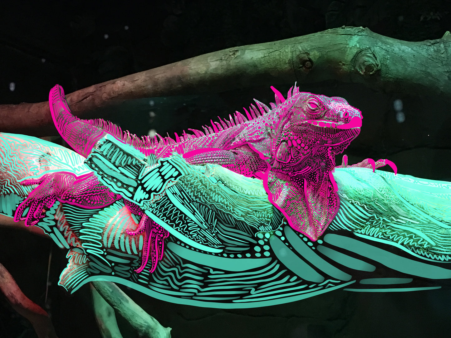 A digital collage: a photo of an Iguana laying on a branch, doodles are rendered on the Iguana and the branch. The iguana is pink and the branch is seafoam green.