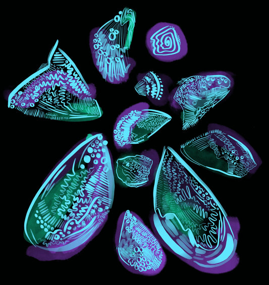An abstract drawing of sea shells arranged in a circle. The background is black and the design is sea shells rendered with dark green/purple wash and light blue line markings.
